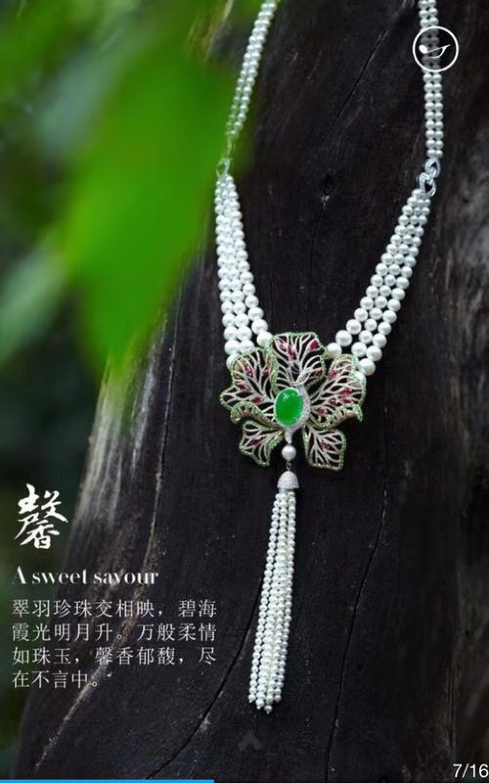 证书图片